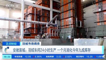 羽絨價格漲超六成 羽絨車間1個月消化今年九成庫存