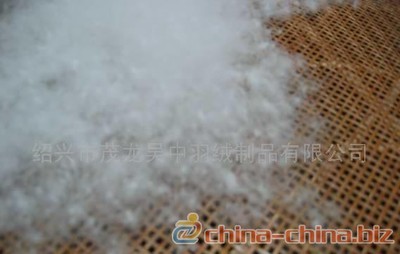 供應白鵝絨(圖) - 中國制造交易網