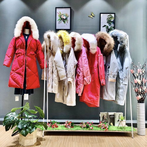 冬季輕奢風尚 西樹影黛皮草羽絨服——專柜品質與品牌折扣的完美融合